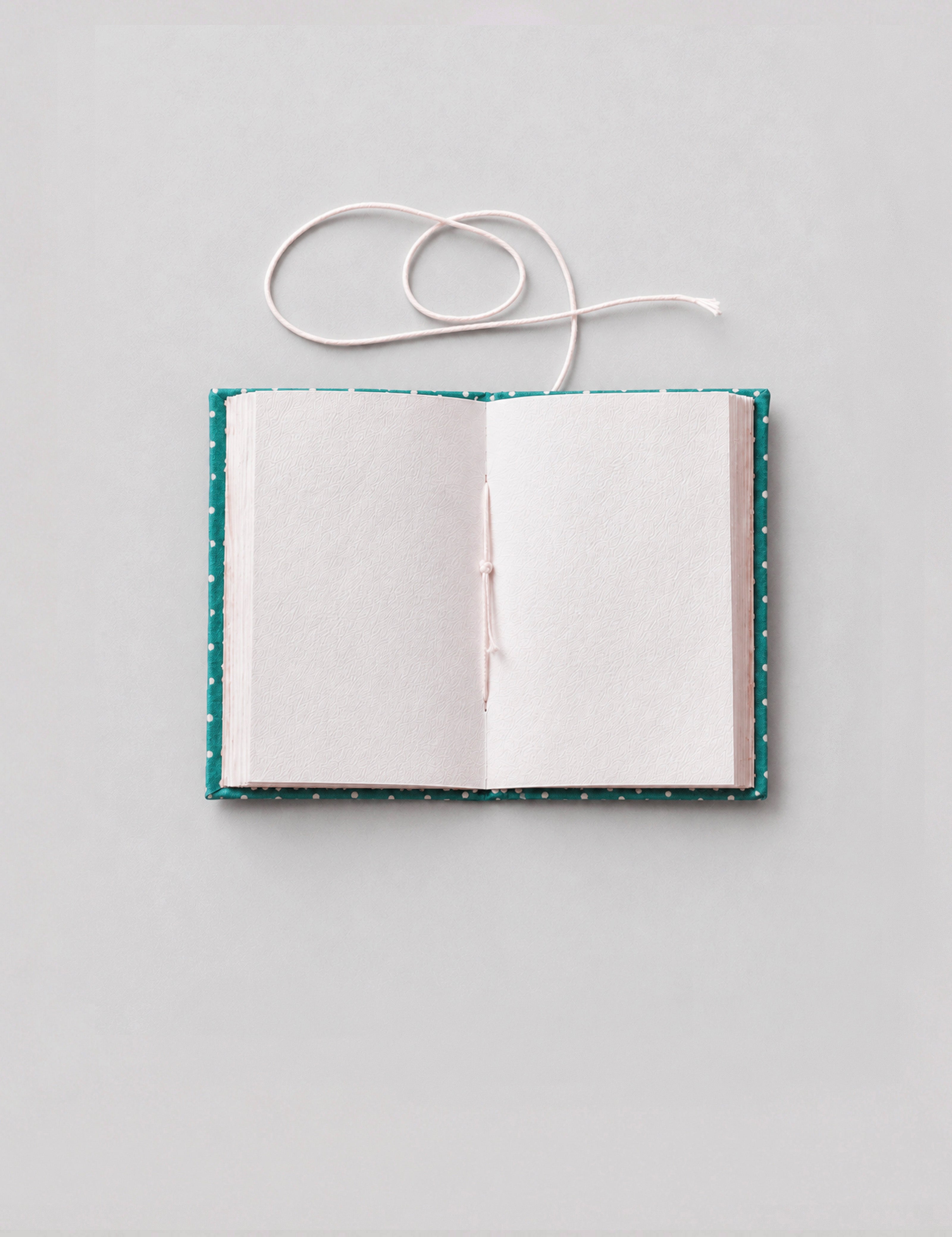 Carnet Pepi Petit Bleu